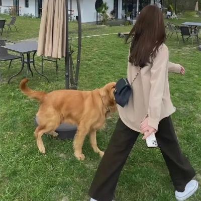 牛皮